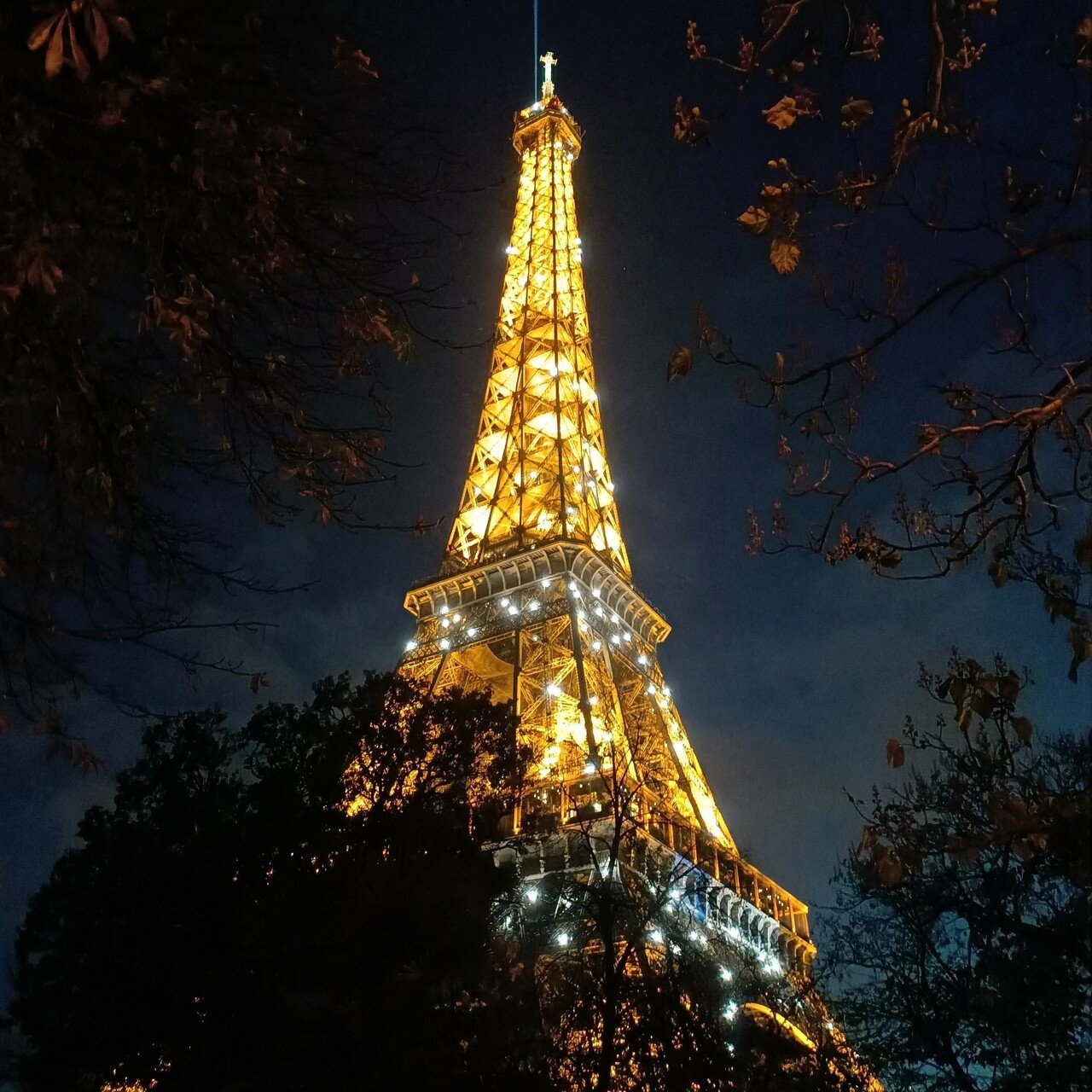 ライトブラウン/ブラック DE LUZE ドリューズ エッフェル塔 金