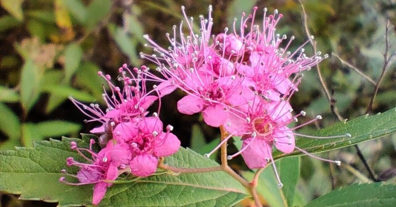 旧国名クイズ の新着タグ記事一覧 Note つくる つながる とどける 旧国名クイズ の新着タグ記事一覧 Note つくる つながる とどける