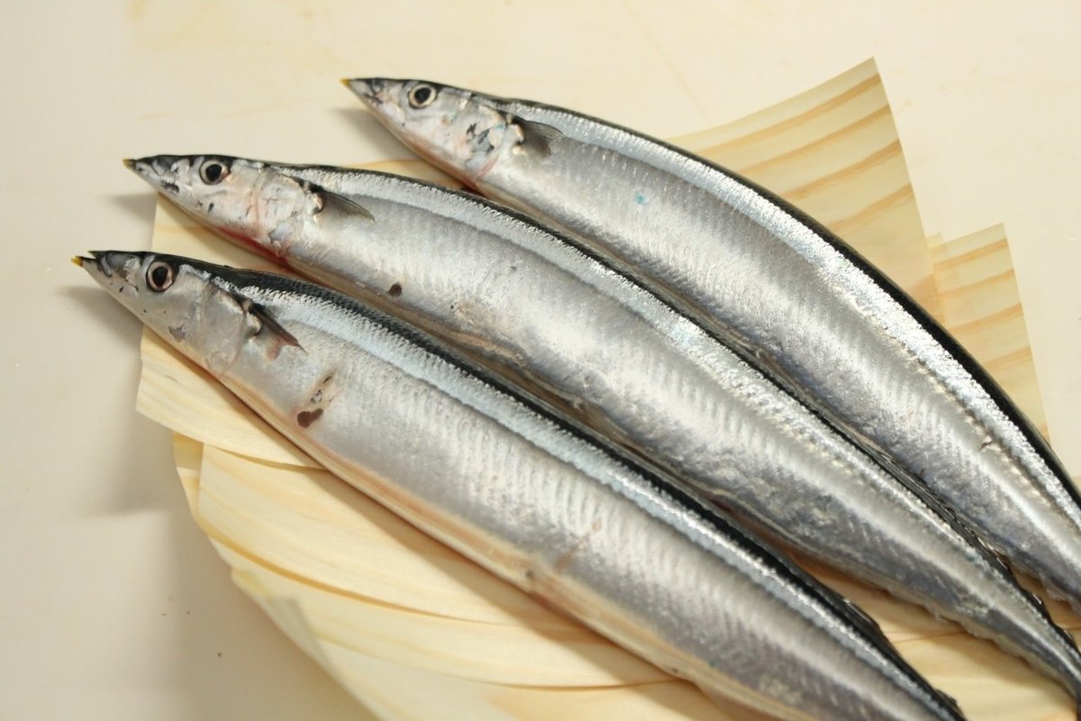 さんまの焼き方研究｜樋口直哉(TravelingFoodLab.) 