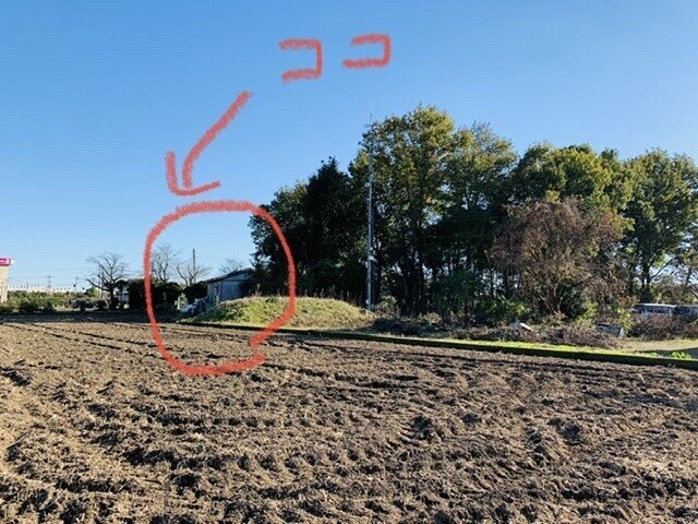 画像9