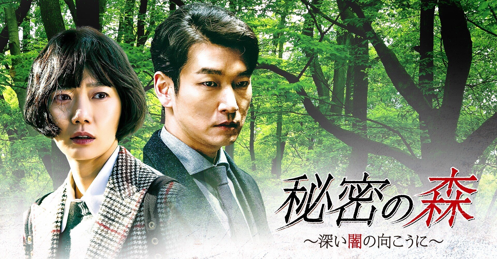 韓ドラレビュー「秘密の森」脚本がすばらしい！！｜seena