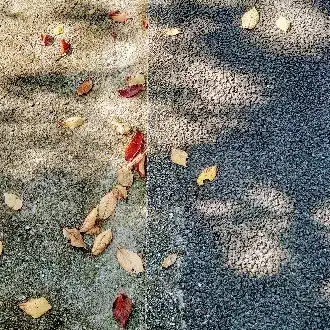 多田　葉っぱ