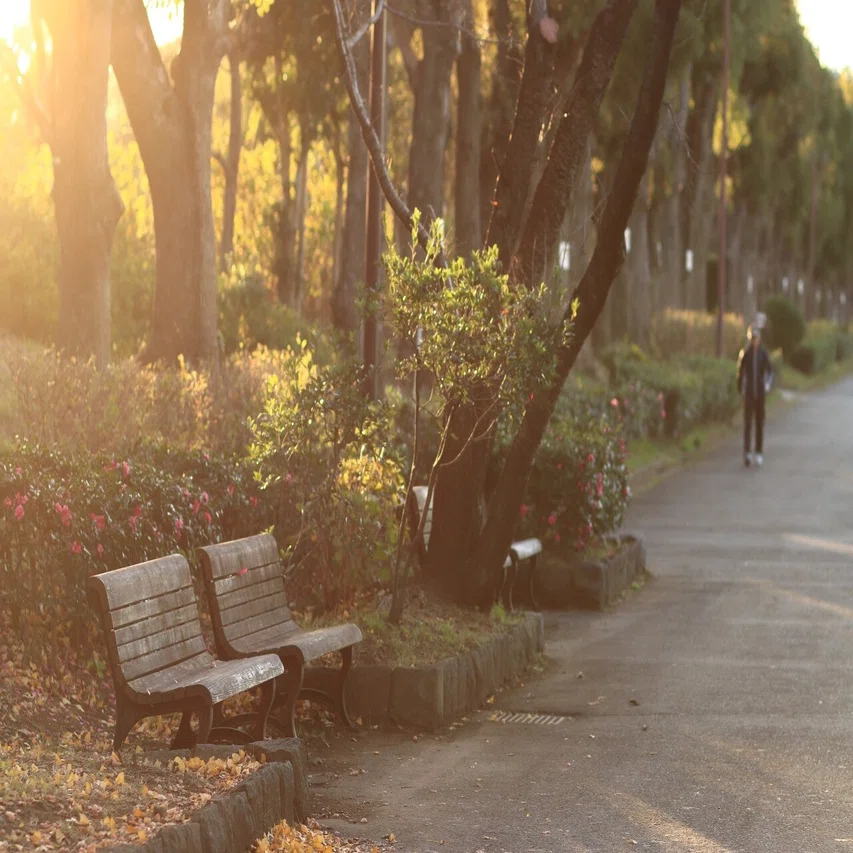 EF 85mm F1.8 USM｜mikiyo
