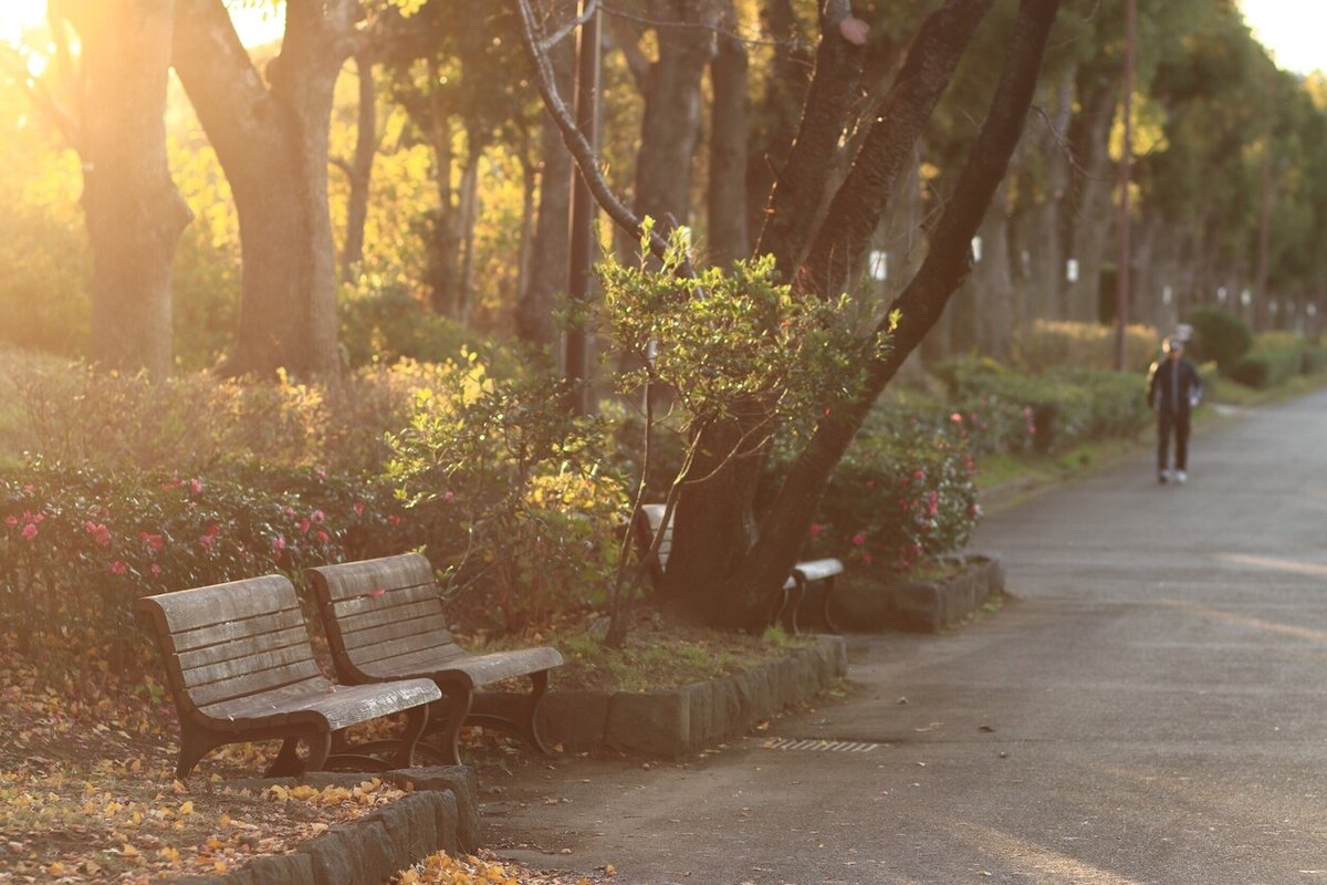 EF 85mm F1.8 USM｜mikiyo