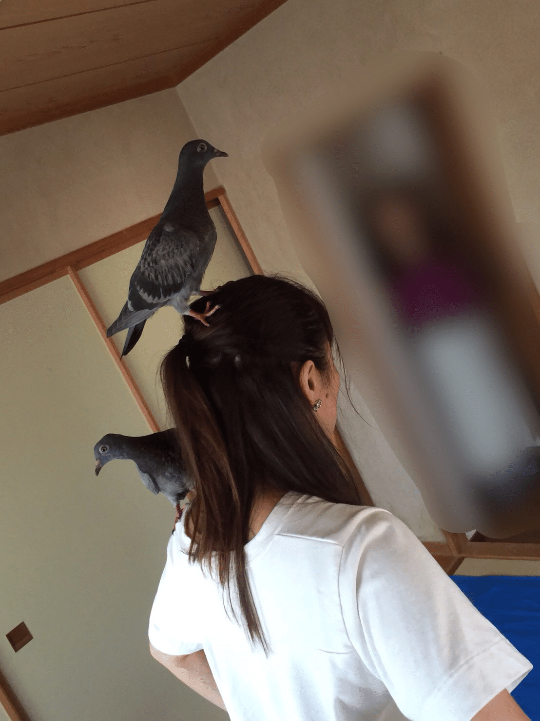 鳩のヒナを保護 の新着タグ記事一覧 Note つくる つながる とどける