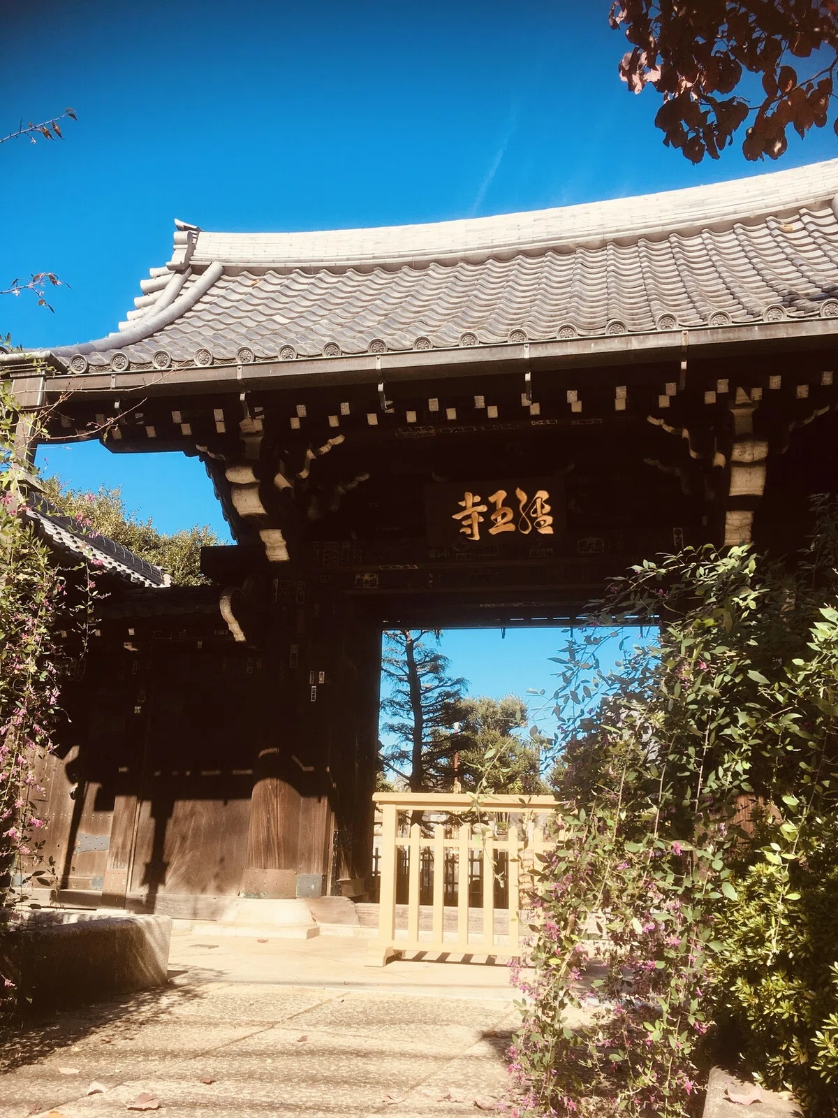 画像8