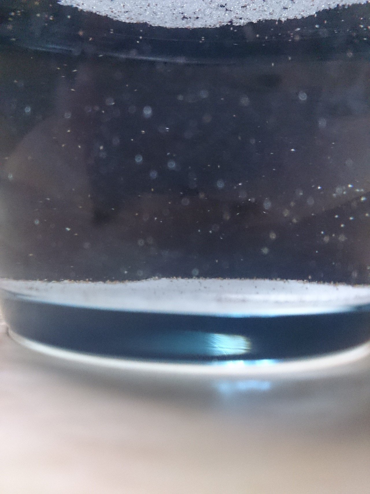 シーモンスター日記 1 生まれる編 有里 馨 Note シーモンスター日記 1 生まれる編 有里 馨 Note