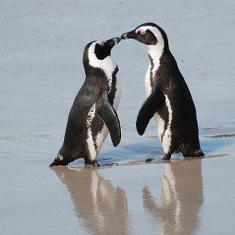 愛してる の伝え方 Lady Bird Note