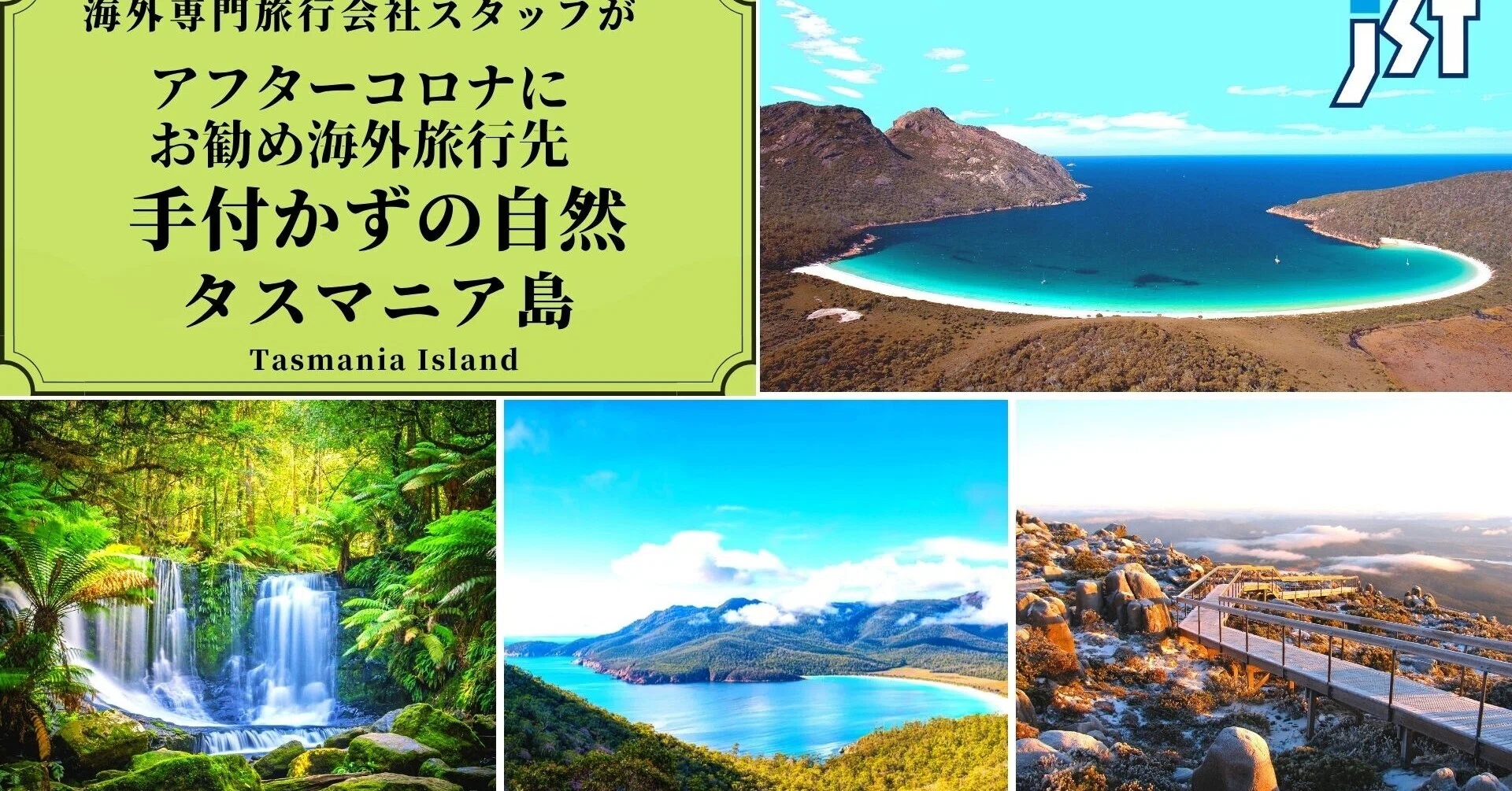 タスマニア島で 採れた 大きな 貝殻 手付かずの自然・タスマニア タスマニア島で 採れた 大きな 貝殻 手付かずの自然・タスマニア