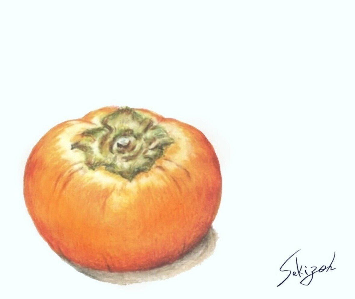 柿 色鉛筆画 せきぞう Note