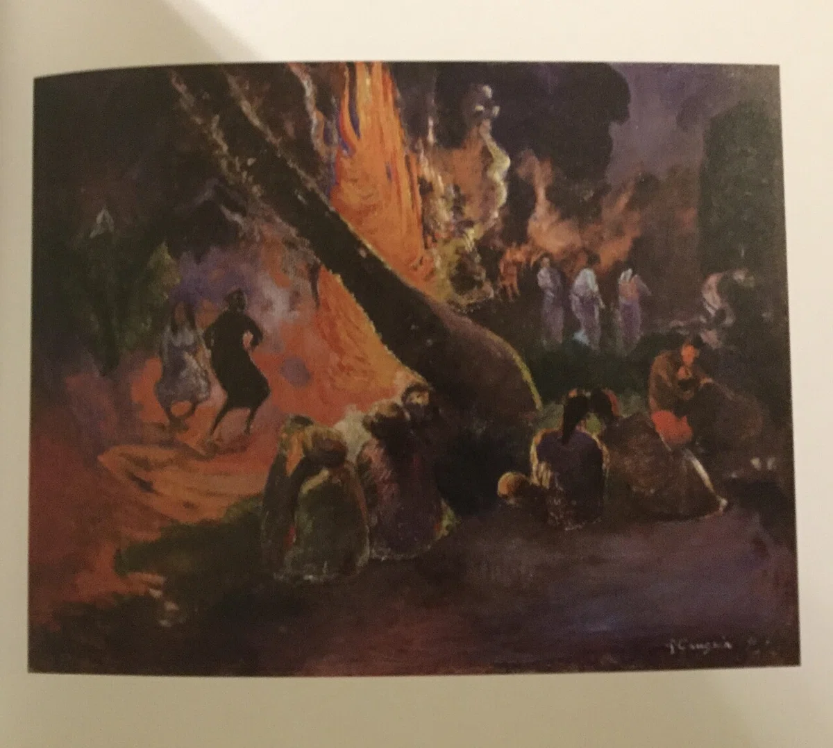 画像5