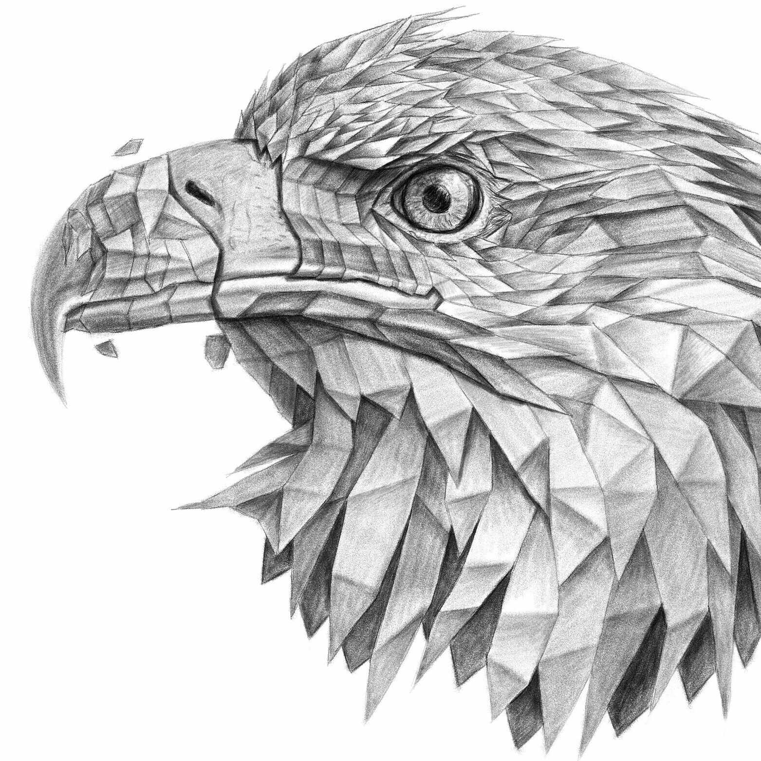 ひこ(東大理系)