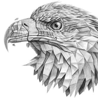 ひこ(東大理系)