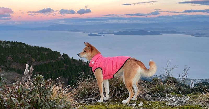 ちょっと一息入れたくて・・・を叶えてくれる犬連れキャンプ