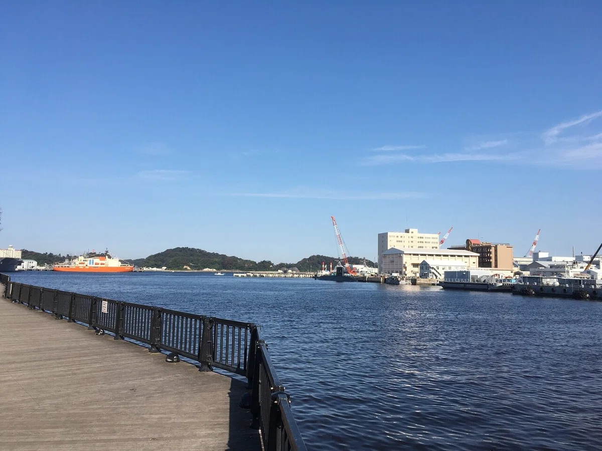 画像5