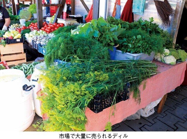 画像11