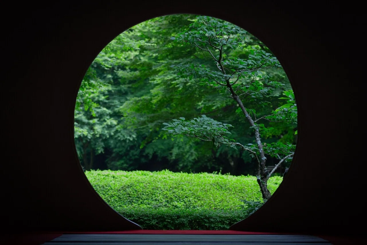 画像10
