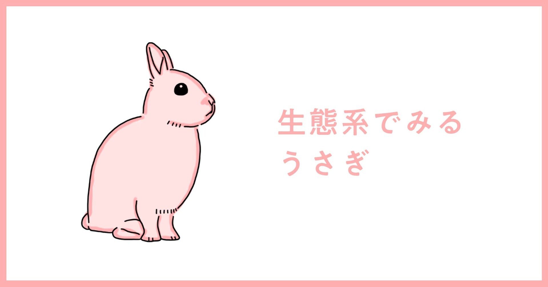 うさぎってどんな動物 03 生態系でみるうさぎ うさぎのあめと彼とわたし Note