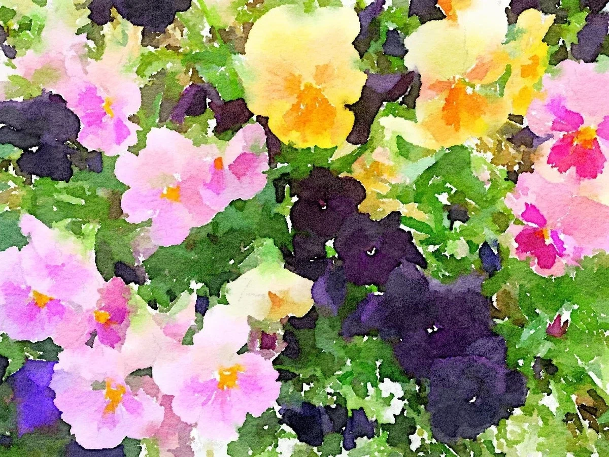 画像