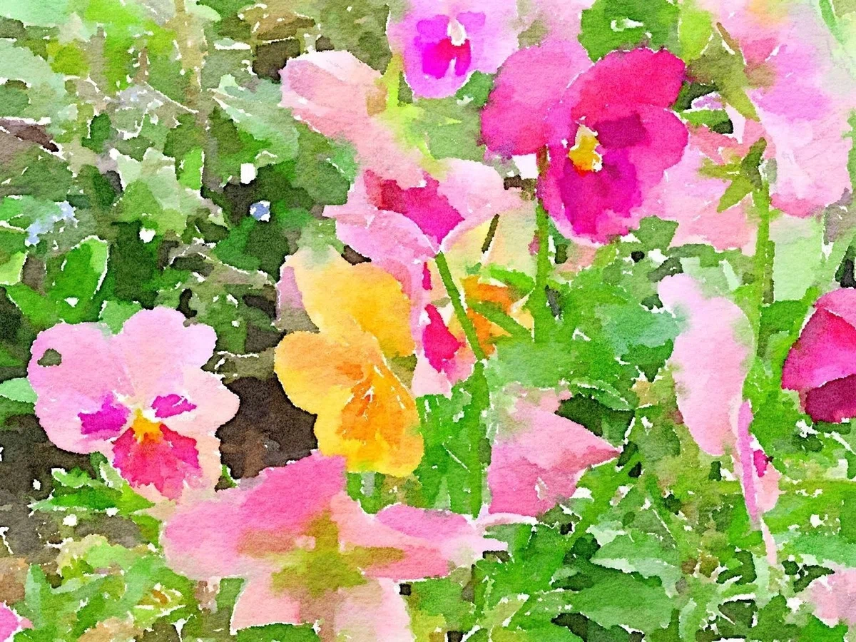画像
