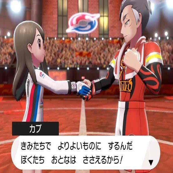 剣盾2周年なので鎧の孤島の話をする ポケモン剣盾感想 そら Note