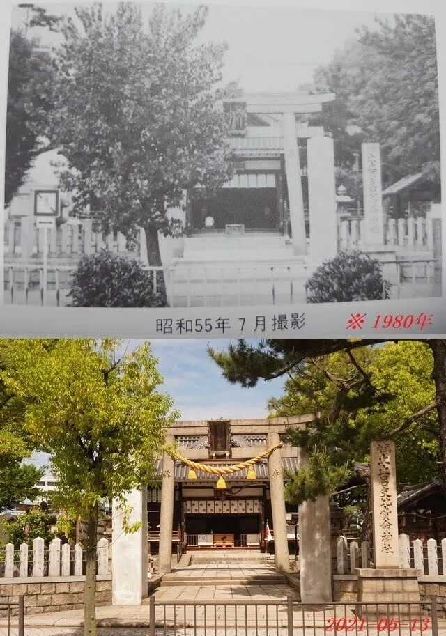 若松②