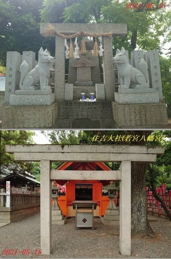 若松③b