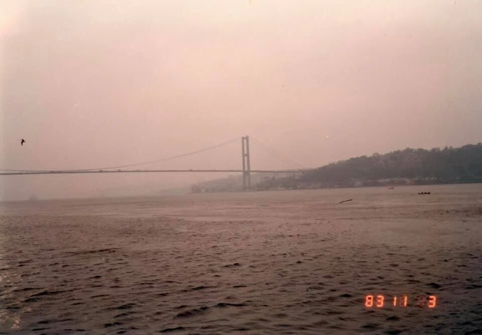 画像12