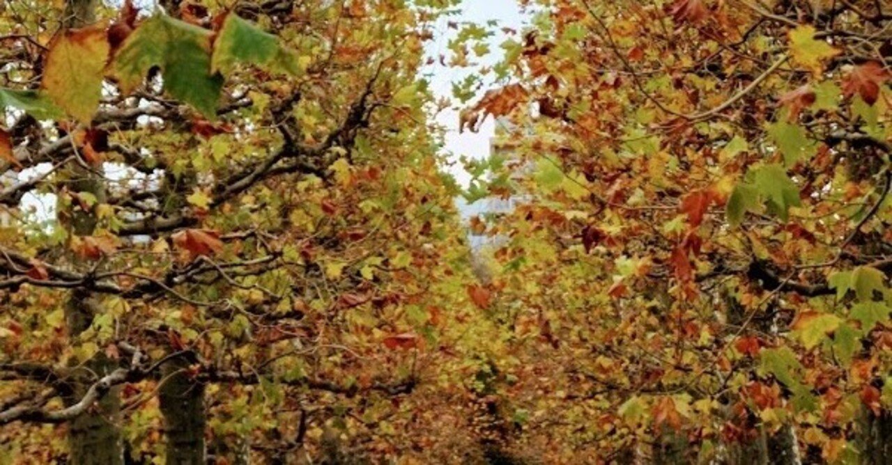 夏こそあけぼの My枕草子 Tokyo 通訳案内士試験道場 Note