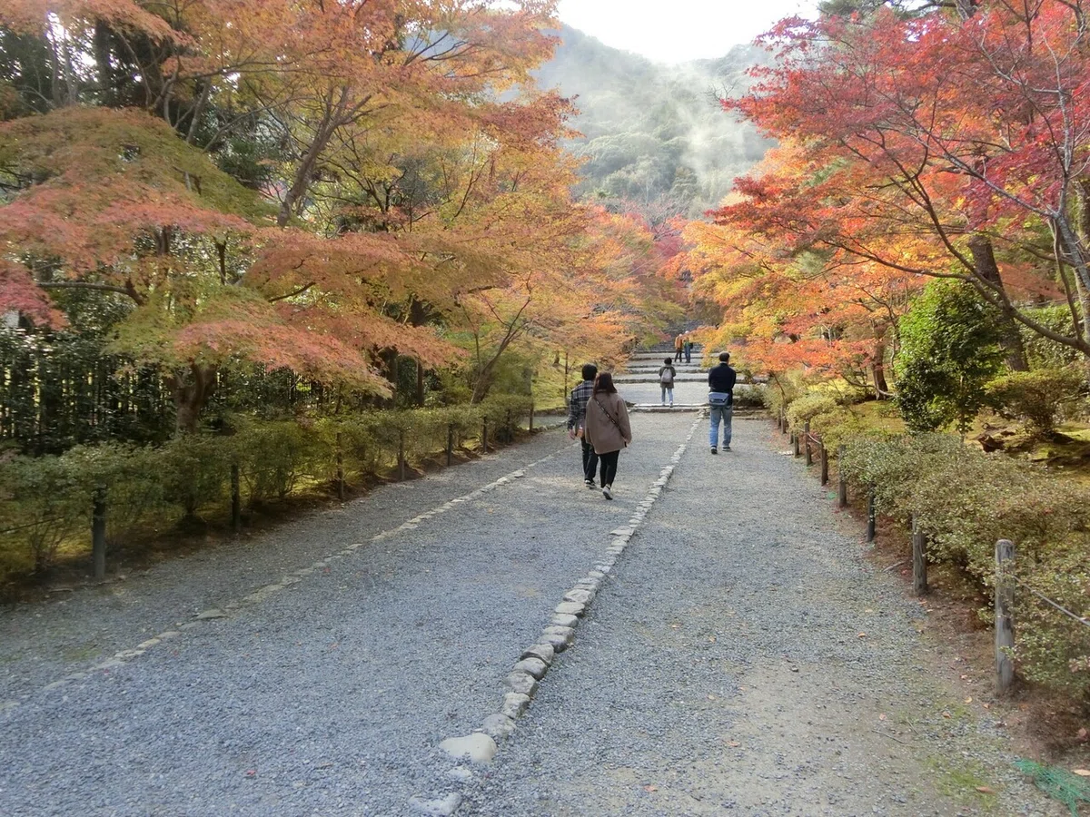 画像10