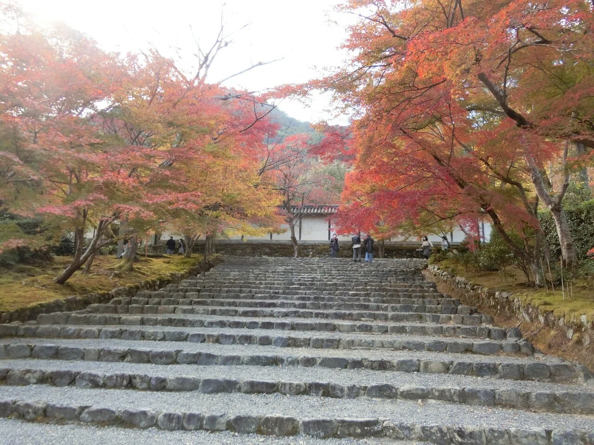画像11