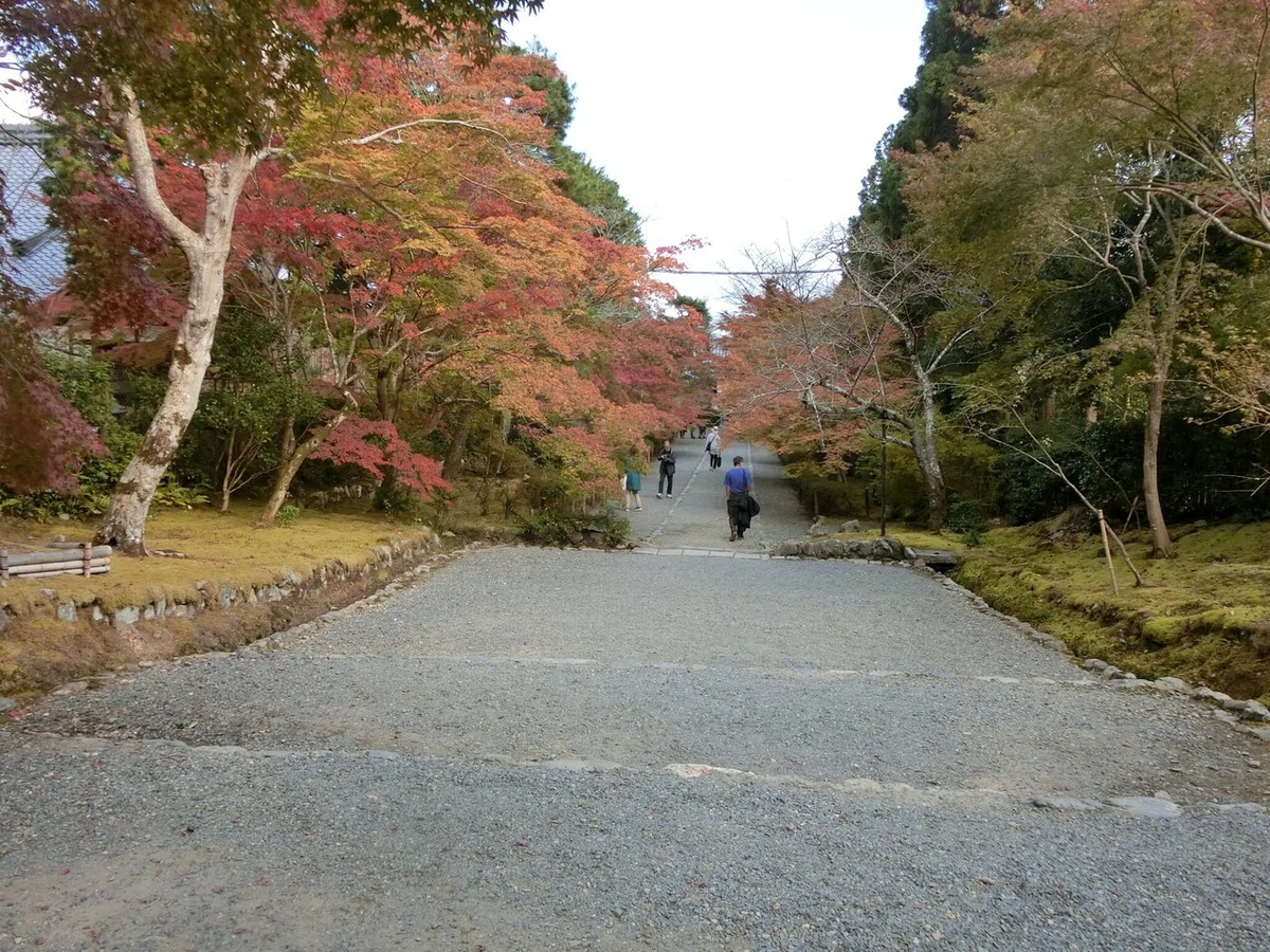 画像12