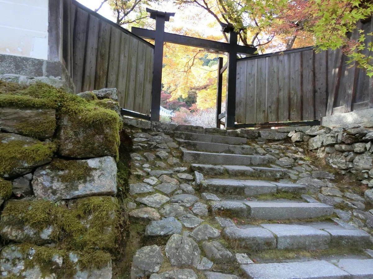 画像13