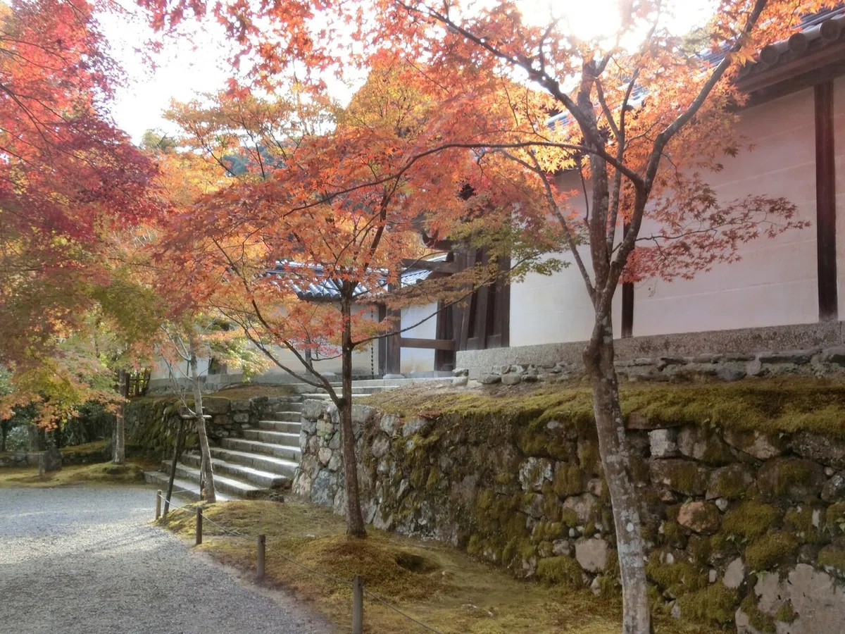 画像14