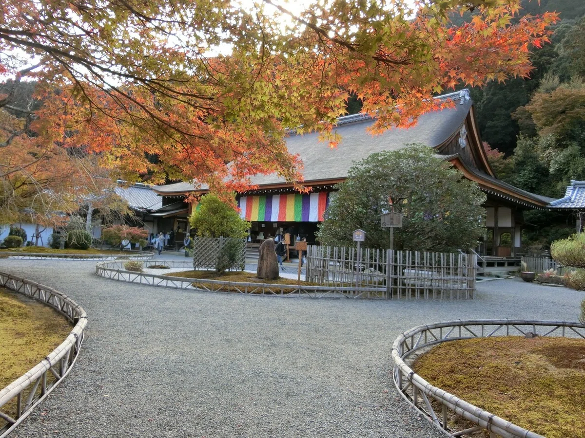 画像15