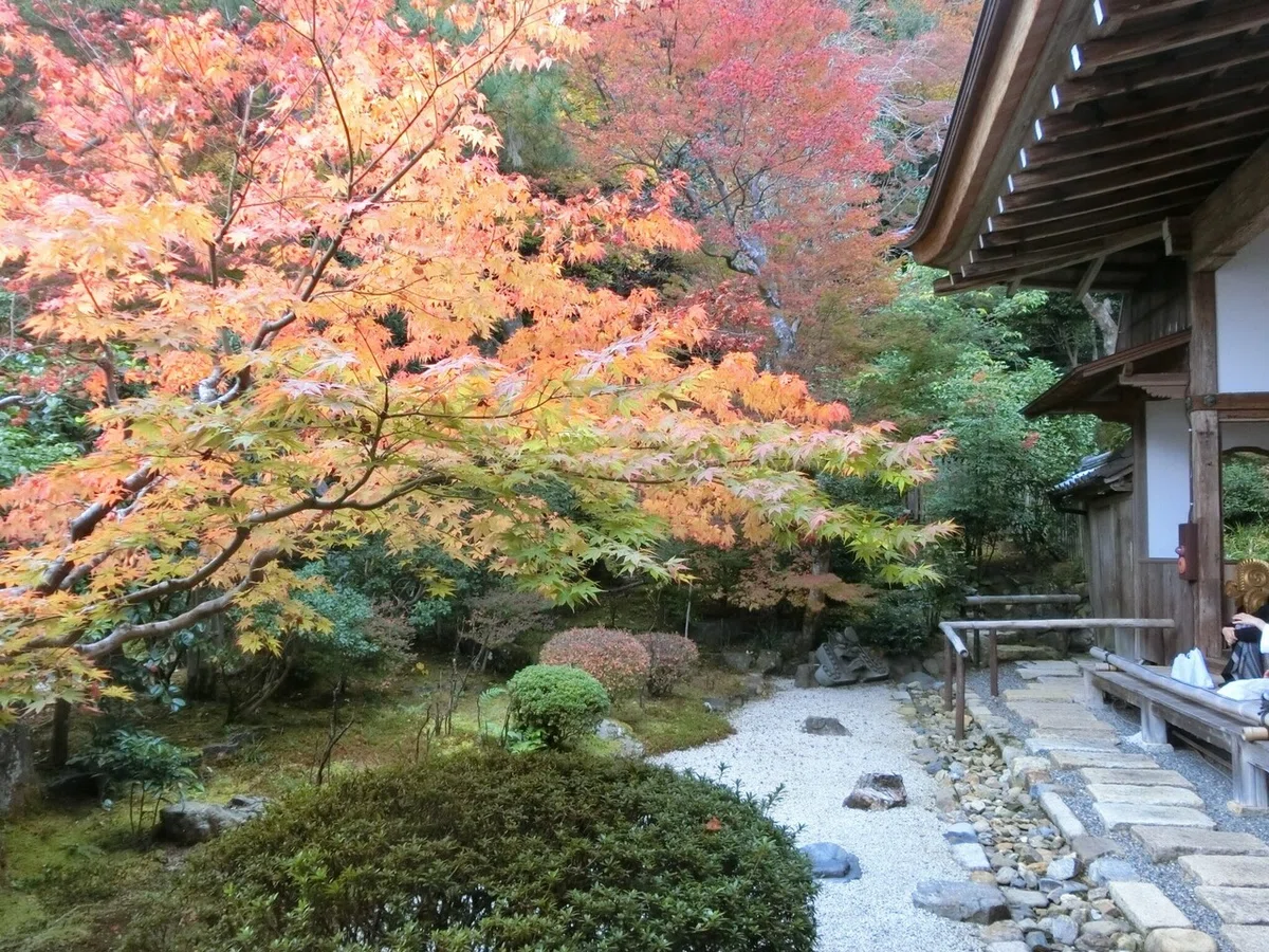 画像21
