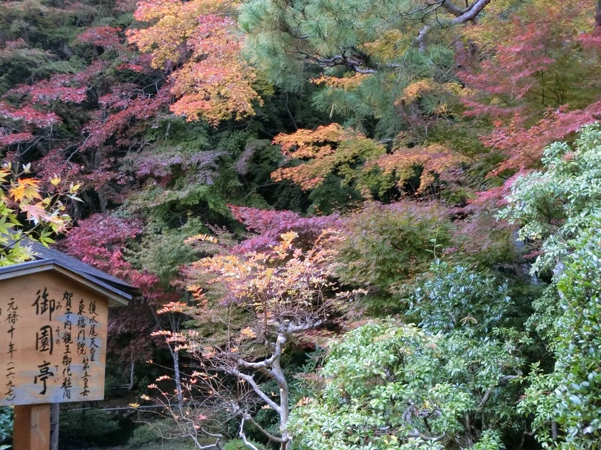 画像22