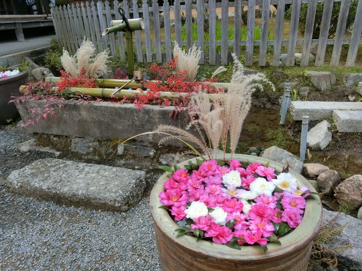 画像27