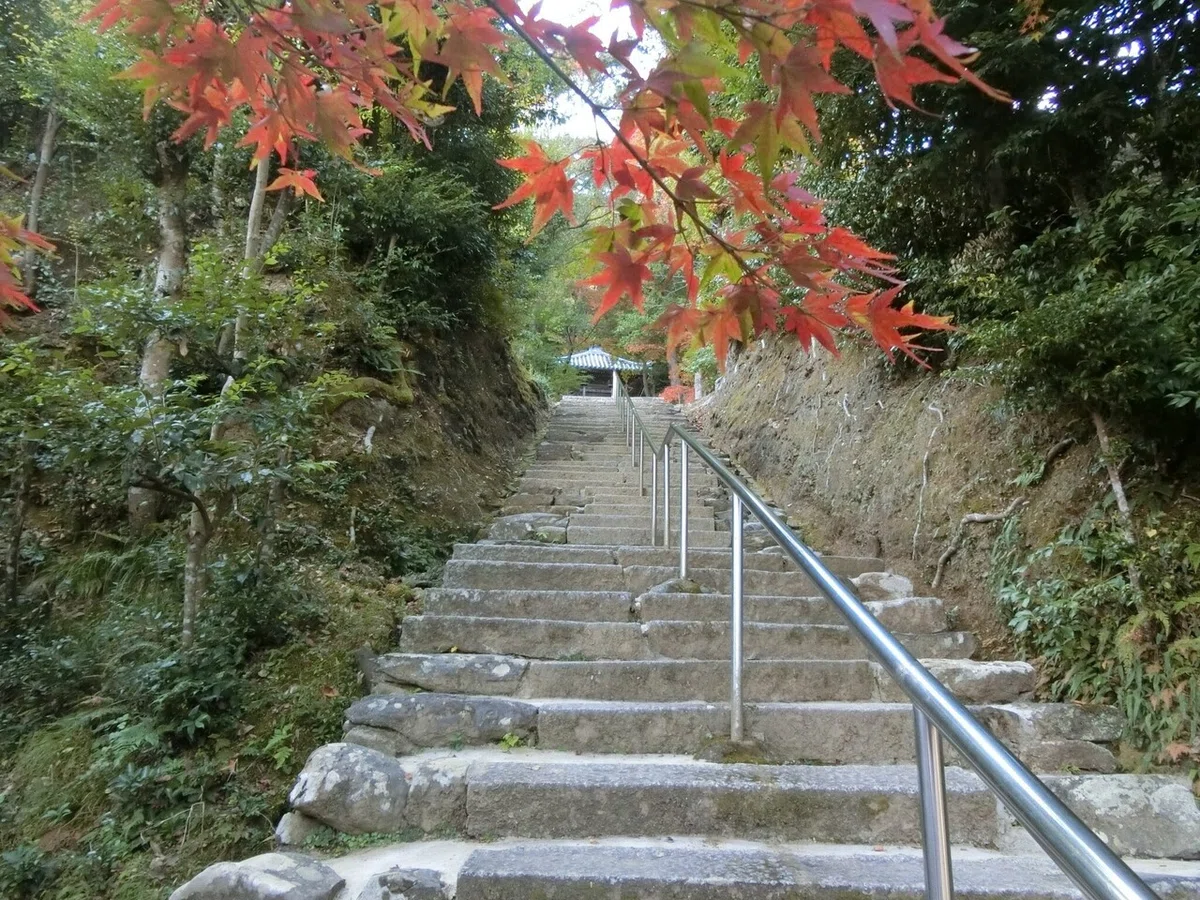 画像30