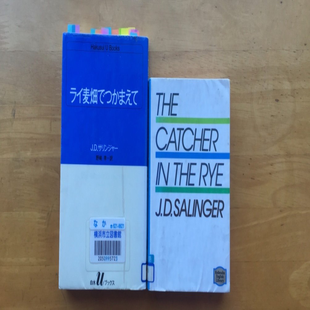 ライ麦畑でつかまえて タイトルの和訳の謎、と隠し味｜鈴木松尾
