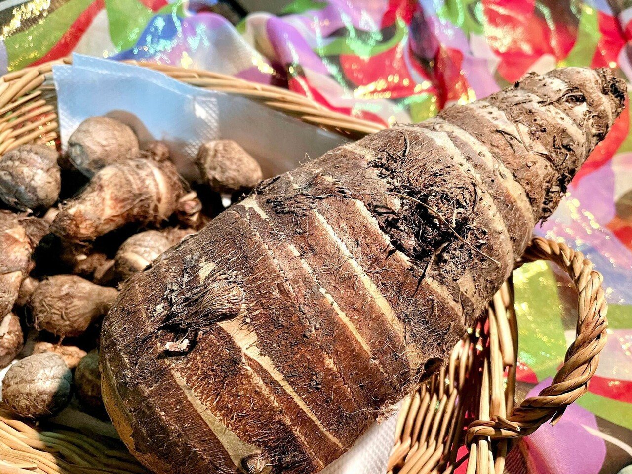 海老芋と里芋は似て非なるもの？｜奥河内から情報発信毎日更新／奥河内