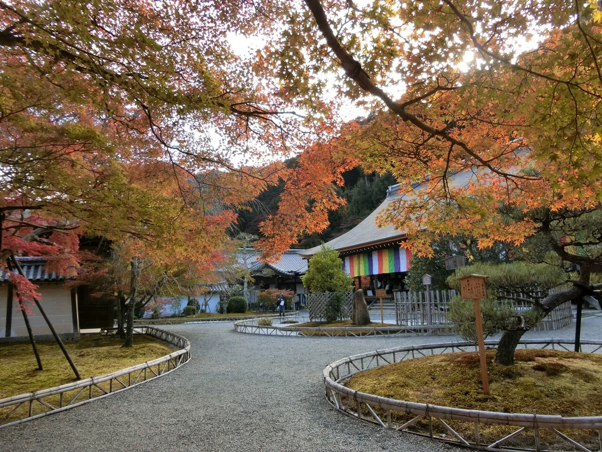 画像41