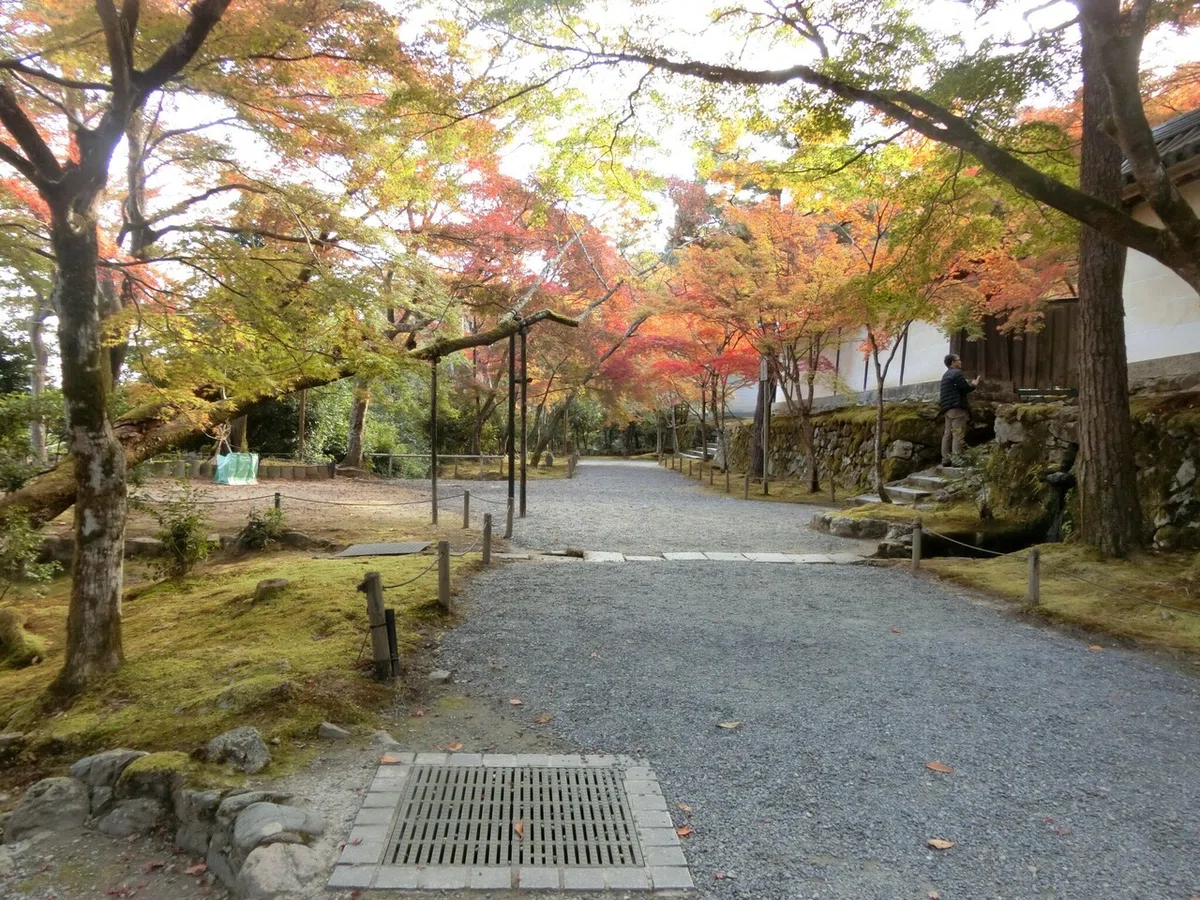 画像42