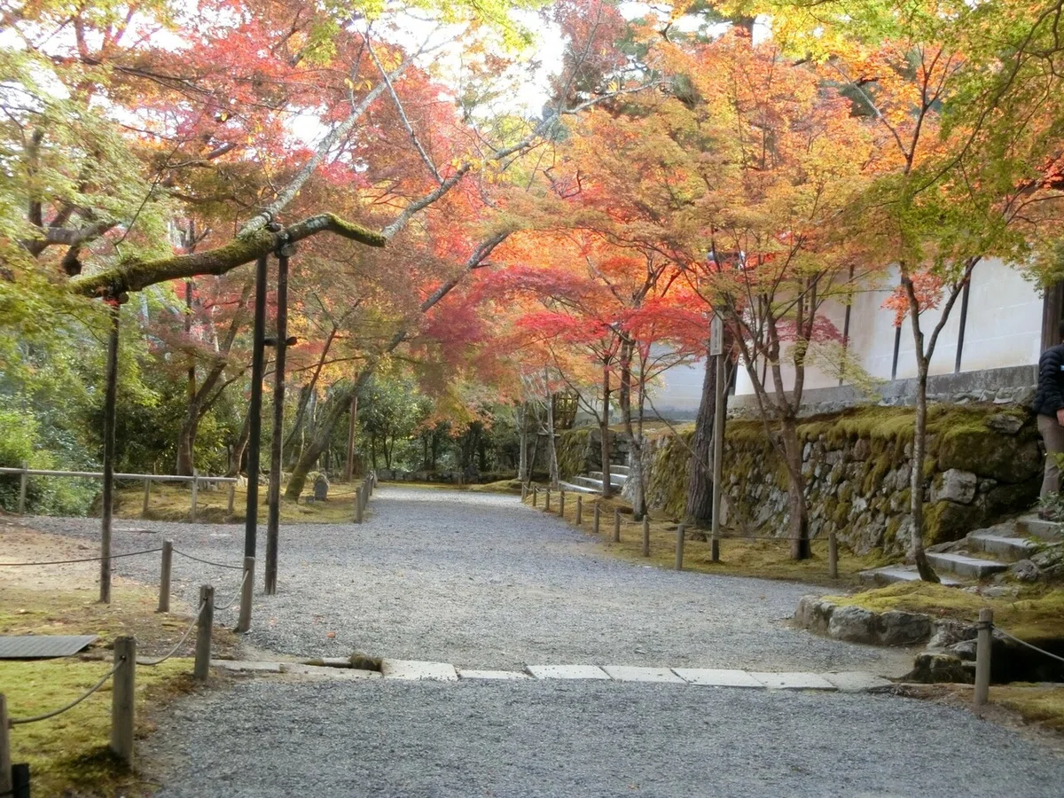 画像43