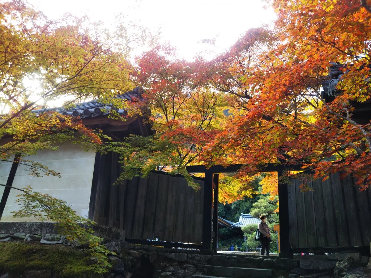 画像44