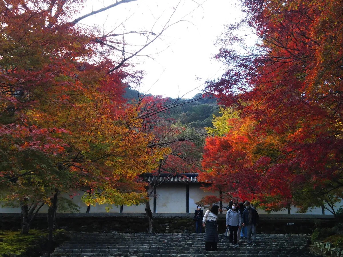 画像47