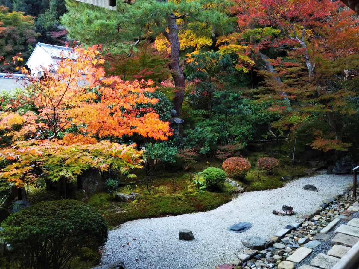 画像48