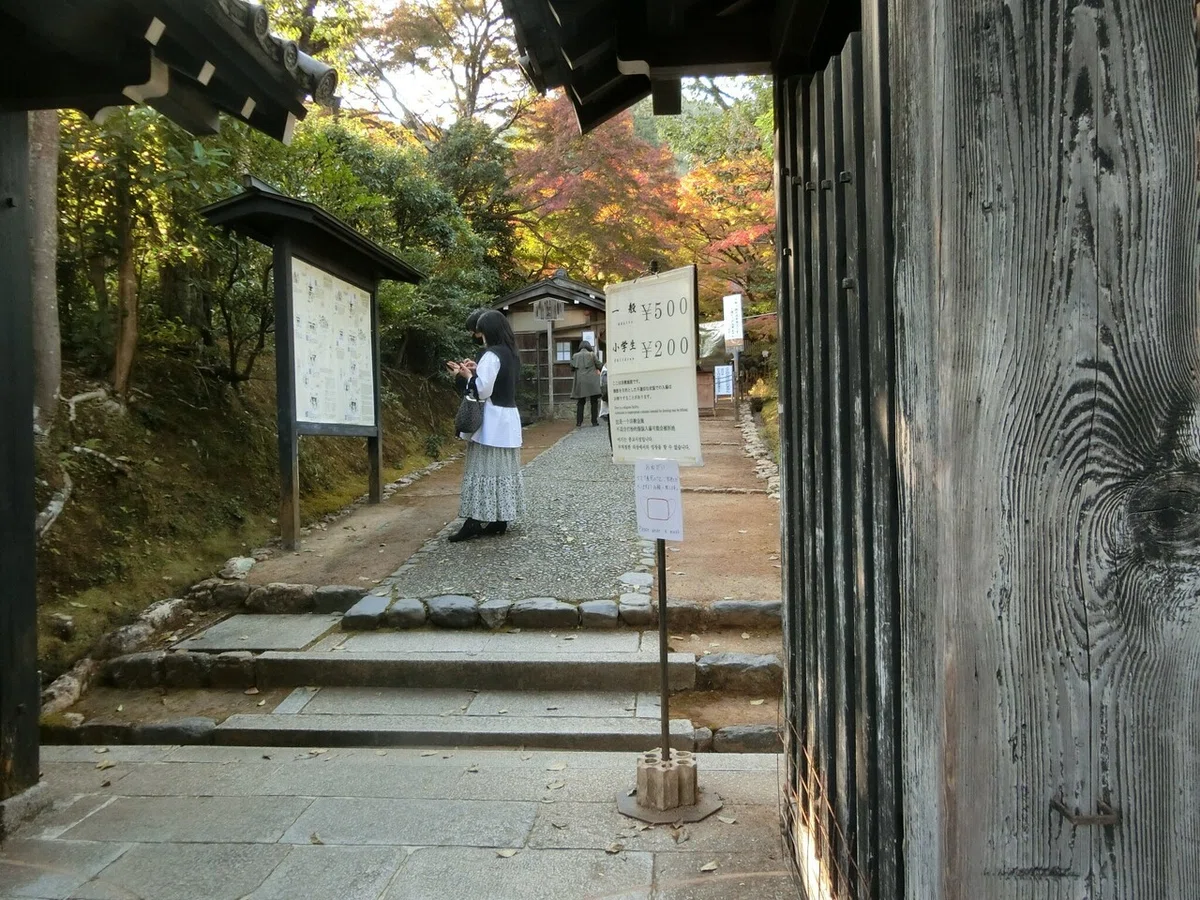 画像49