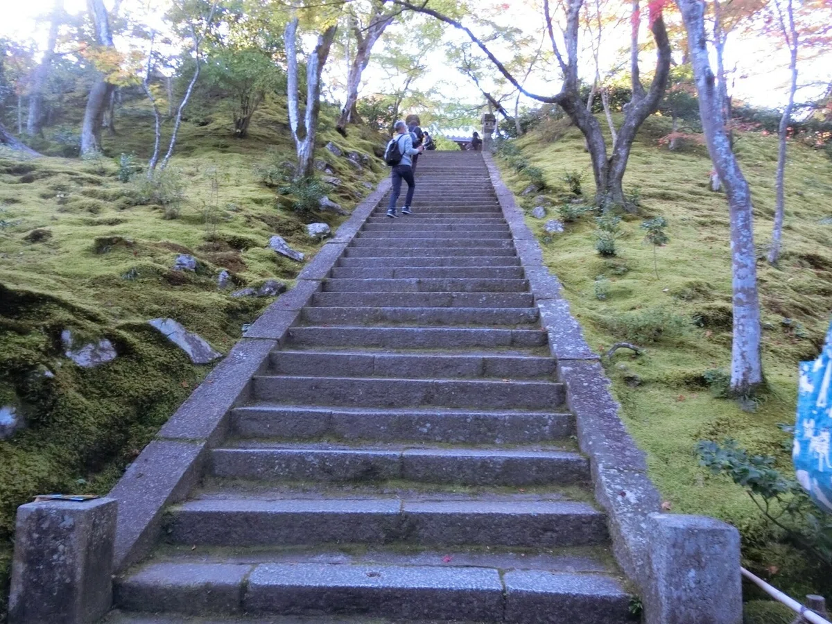 画像50