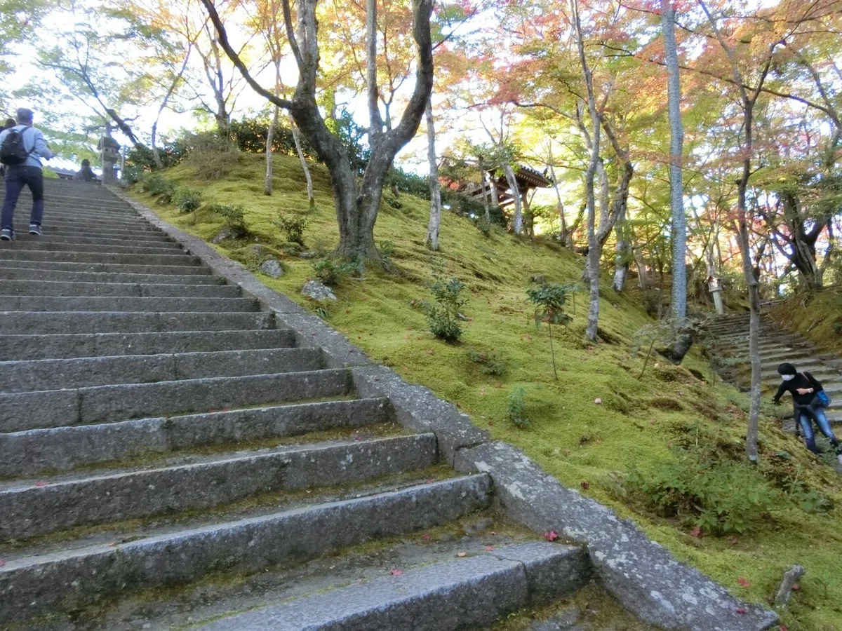 画像51